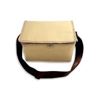 Cooler bag 420D polyester compact portable practical high efficiency insulation bag picnic bag HHL-Cr1903